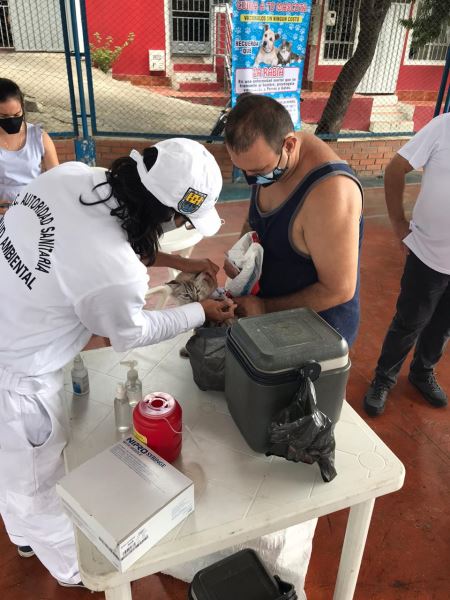 CON ACCIONES DE INMERSIÓN COMUNITARIA, LA SECRETARÍA DE SALUD LE APUESTA A NO TENER CASOS DE RABIA EN EL MUNICIPIO CON ACCIONES DE INMERSIÓN COMUNITARIA, LA SECRETARÍA DE SALUD LE APUESTA A NO TENER CASOS DE RABIA EN EL MUNICIPIO