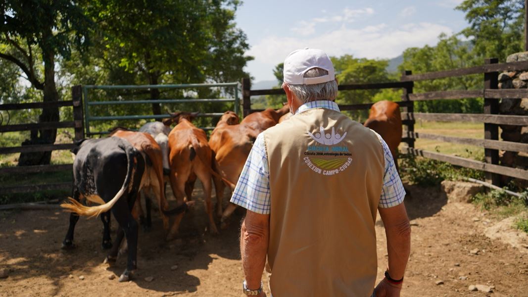 MEJORAS GENÉTICAS AL SECTOR BOVINO, OTRA APUESTA DEL ALCALDE JAIRO YÁÑEZ PARA BRINDAR ALTERNATIVAS SOSTENIBLES A LA ZONA RURAL MEJORAS GENÉTICAS AL SECTOR BOVINO, OTRA APUESTA DEL ALCALDE JAIRO YÁÑEZ PARA BRINDAR ALTERNATIVAS SOSTENIBLES A LA ZONA RURAL