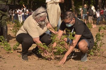 EMOTIVA JORNADA “LO JURO, UN VOTO, UN ÁRBOL” EMOTIVA JORNADA “LO JURO, UN VOTO, UN ÁRBOL”