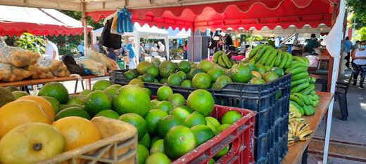 MÁS DE 30 PRODUCTORES DE ZONA RURAL PARTICIPARON, EN LA PRIMERA VERSIÓN, DEL MERCADO CAMPESINO DE CÚCUTA MÁS DE 30 PRODUCTORES DE ZONA RURAL PARTICIPARON, EN LA PRIMERA VERSIÓN, DEL MERCADO CAMPESINO DE CÚCUTA