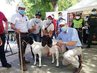 MÁS DE 30 PRODUCTORES DE ZONA RURAL PARTICIPARON, EN LA PRIMERA VERSIÓN, DEL MERCADO CAMPESINO DE CÚCUTA MÁS DE 30 PRODUCTORES DE ZONA RURAL PARTICIPARON, EN LA PRIMERA VERSIÓN, DEL MERCADO CAMPESINO DE CÚCUTA